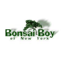 Bonsai Boy of New York
